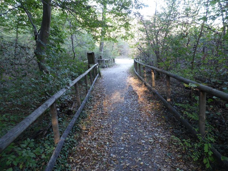 Parco del Ticino : Autunno